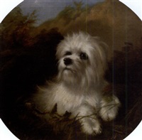 Terrier in a landscape