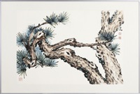 Aigle juché sur un pin et Branches de pin