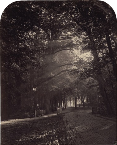 Bilder Aus Dem Thiergarten Nach Der Natur Photographirt By Hermann Wilhelm Vogel On Artnet