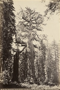 Album with views of San Francisco,..., 1864–1866 Album with views of San Francisco,..., 1864–1866