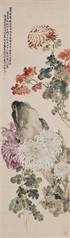 菊石图