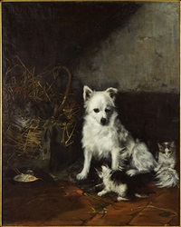 Scene with Dog and Cats