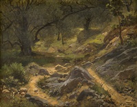Waldlandschaft mit steinigem Pfad