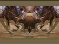 arabesque by mary lucier