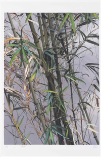 雨后, 2012