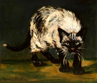 chat saint raphael