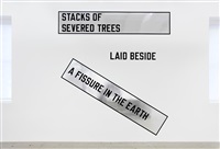 STACKS OF SEVERED TREES LAID BESIDE A..., 2007