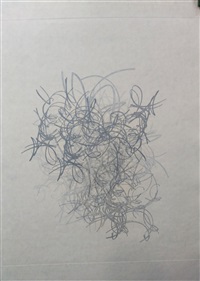 Shadows II, 2017