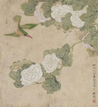 芙蓉翠鸟