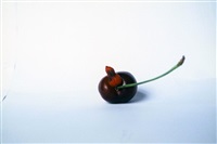 Perverted Cherry, 1992–2014