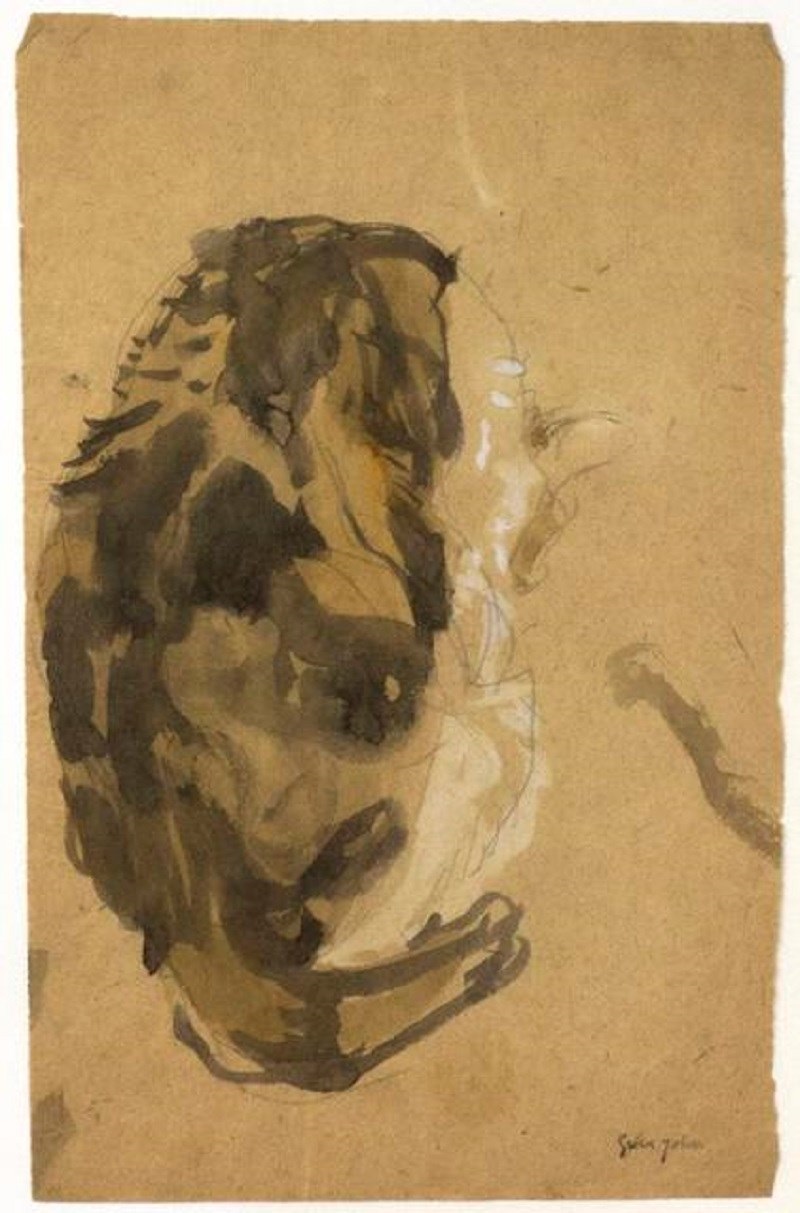 cleaning tortoise shell