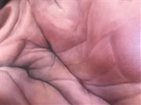 Hand, 2002