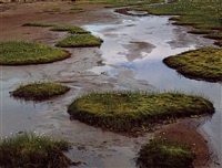 Tarn and Cotton Grass, Fjordharheidhi, Iceland