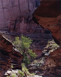Coyote Gulch, Escalante River, August 17, 1971