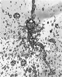 Mercury Man, July, 3, 2005