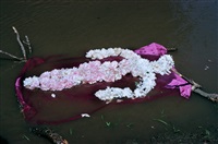 Flower Person, Flower Body, 1975–2020