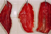 France. Paris. from 'Common Sense', 1997