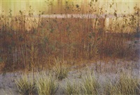 Tamarisk and grass, rivers edge, Glen..., 1961
