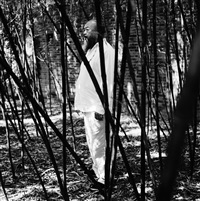 Ai Wei Wei, 2012