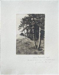 Untitled (Kiefern am Waldrand), 1910