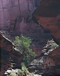 Coyote Gulch, Escalante River, Glen..., 1971–1980