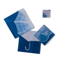 Penumbrella, 2009