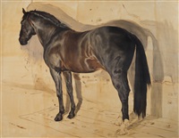 The Horse, 2015