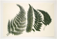 Untitled, 1998