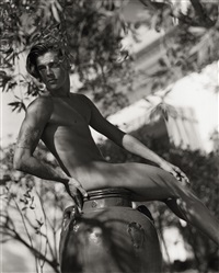 Wener, Montecito, California, 1989