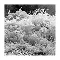 Force Of Nature- 5S5A8422