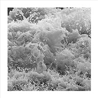 Force Of Nature- 5S5A8422 Center