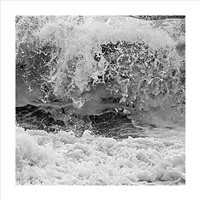 Force Of Nature- 5S5A7394 Crop 6