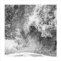 Force Of Nature- 5S5A7490 Crop 2
