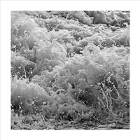 Force Of Nature- 5S5A8422