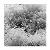Force Of Nature- 5S5A8436