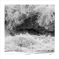 Force Of Nature- 5S5A7394 Crop 5