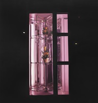 Automate à fleurs (flower night-dispenser), 2009