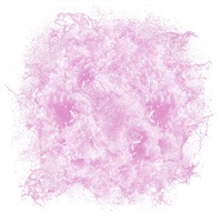 5S5A2632 - Pink