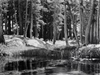 Forest and Stream, Lyell Fork of the Merced..., 1921