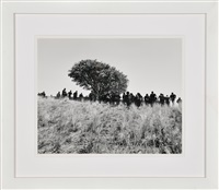 Untitled, from the «Tooba» Series, 2002