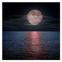 Moon #01