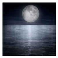 Moon #19