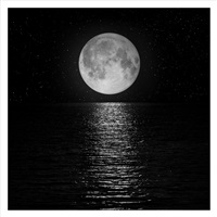 Moon #28