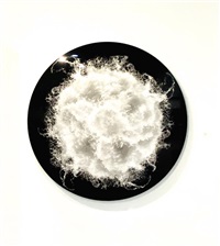 Splash Circle