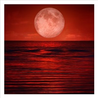 Moon #17
