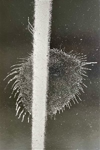 Oil Spill, New York, 1962