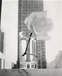 Vogue Cover - Rose, New York, 1948