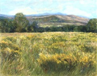 Simons' Field
