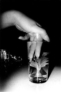 Water Flower, Shibuya-ku, Tokyo, 1990, 2022