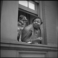Woman and Dog in Window, Harlem, New York, 1943